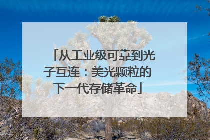 从工业级可靠到光子互连：美光颗粒的下一代存储革命