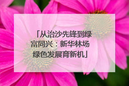 从治沙先锋到绿富同兴：新华林场绿色发展育新机