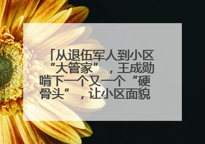 从退伍军人到小区“大管家”，王成勋啃下一个又一个“硬骨头”，让小区面貌焕然一新