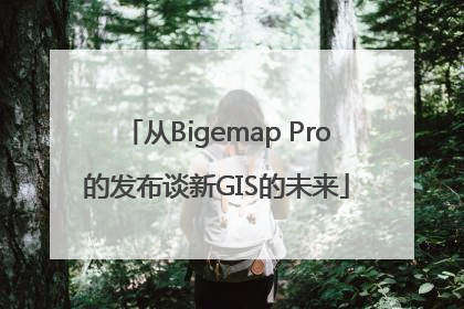 从Bigemap Pro的发布谈新GIS的未来