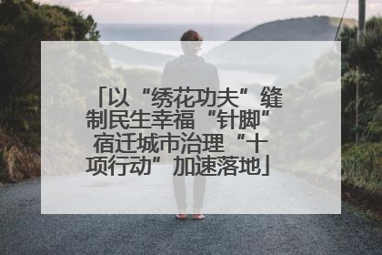 以“绣花功夫”缝制民生幸福“针脚” 宿迁城市治理“十项行动”加速落地