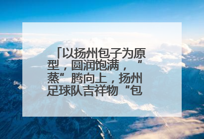 以扬州包子为原型，圆润饱满，“蒸”腾向上，扬州足球队吉祥物“包赢”亮相即售罄