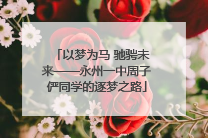 以梦为马 驰骋未来——永州一中周子俨同学的逐梦之路