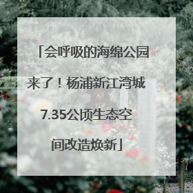 会呼吸的海绵公园来了！杨浦新江湾城7.35公顷生态空间改造焕新