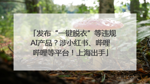 发布“一键脱衣”等违规AI产品？涉小红书、哔哩哔哩等平台！上海出手