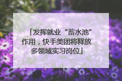 发挥就业“蓄水池”作用，快手美团将释放多领域实习岗位