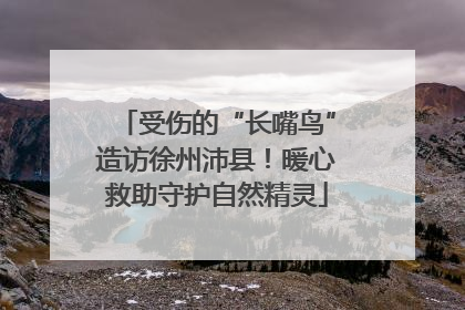 受伤的“长嘴鸟”造访徐州沛县！暖心救助守护自然精灵
