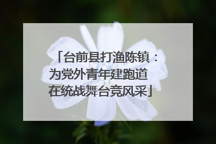 台前县打渔陈镇：为党外青年建跑道 在统战舞台竞风采