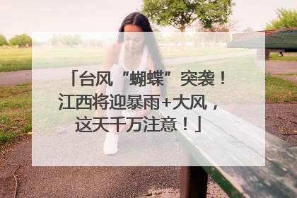 台风“蝴蝶”突袭！江西将迎暴雨+大风，这天千万注意！