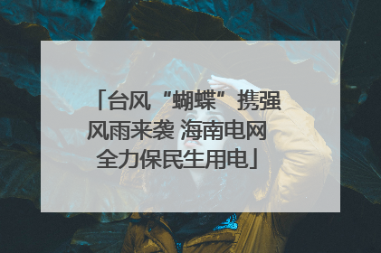台风“蝴蝶”携强风雨来袭 海南电网全力保民生用电