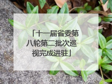 十一届省委第八轮第二批次巡视完成进驻