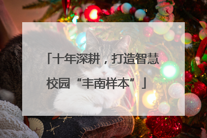 十年深耕，打造智慧校园“丰南样本”