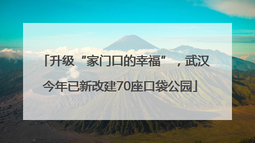 升级“家门口的幸福”，武汉今年已新改建70座口袋公园