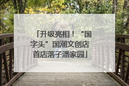 升级亮相！“国字头”国潮文创店首店落子潘家园