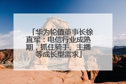 华为轮值董事长徐直军：电信行业成熟期，抓住骑手、主播等成长型需求