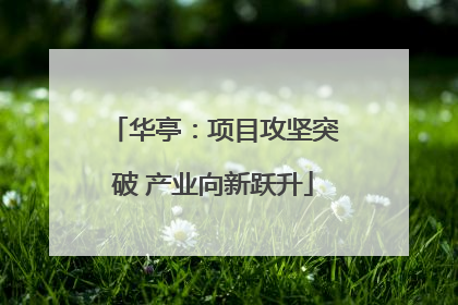 华亭：项目攻坚突破 产业向新跃升