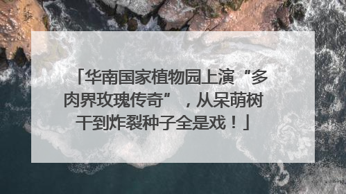 华南国家植物园上演“多肉界玫瑰传奇”，从呆萌树干到炸裂种子全是戏！