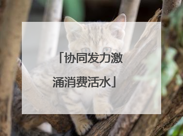 协同发力激涌消费活水