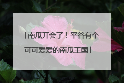 南瓜开会了！平谷有个可可爱爱的南瓜王国