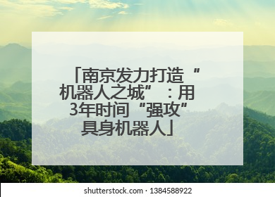 南京发力打造“机器人之城”：用3年时间“强攻”具身机器人