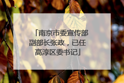 南京市委宣传部副部长张政，已任高淳区委书记