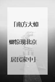 南方大蟑螂惊现北京居民家中