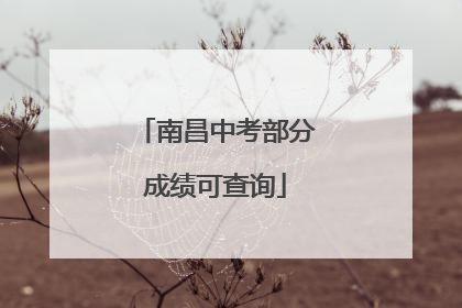 南昌中考部分成绩可查询