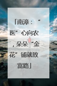 南漳：“医”心向农，朵朵“金花”铺就致富路