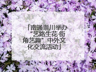 南通崇川举办“艺路生花·街角艺趣”中外文化交流活动