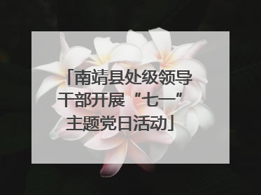 南靖县处级领导干部开展“七一”主题党日活动