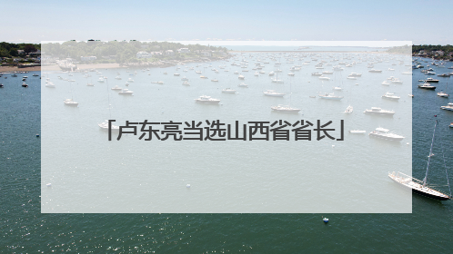 卢东亮当选山西省省长