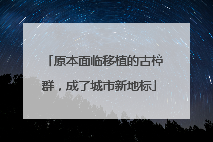 原本面临移植的古樟群，成了城市新地标