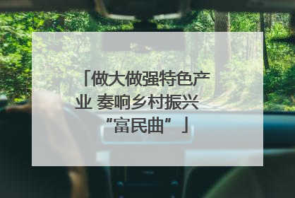 做大做强特色产业 奏响乡村振兴“富民曲”