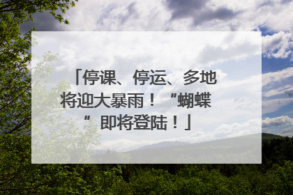 停课、停运、多地将迎大暴雨！“蝴蝶”即将登陆！
