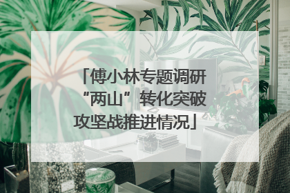 傅小林专题调研“两山”转化突破攻坚战推进情况