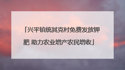 兴平镇统其克村免费发放钾肥 助力农业增产农民增收