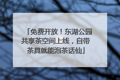 免费开放！东湖公园共享茶空间上线，自带茶具就能泡茶话仙
