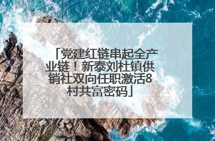 党建红链串起全产业链！新泰刘杜镇供销社双向任职激活8村共富密码