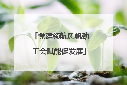 党建领航风帆劲 工会赋能促发展