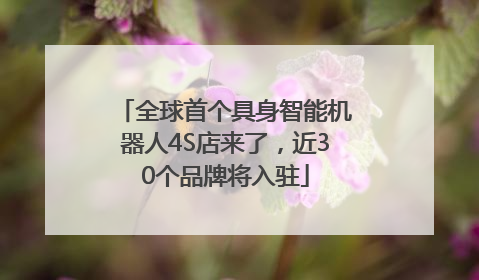 全球首个具身智能机器人4S店来了，近30个品牌将入驻