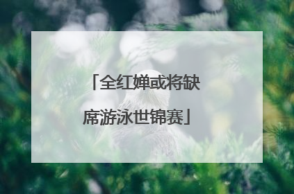 全红婵或将缺席游泳世锦赛