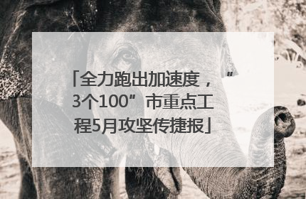 全力跑出加速度，“3个100”市重点工程5月攻坚传捷报