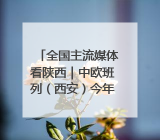 全国主流媒体看陕西｜中欧班列（西安）今年以来开行超2500列