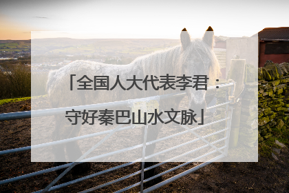 全国人大代表李君：守好秦巴山水文脉
