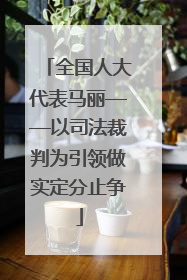 全国人大代表马丽——以司法裁判为引领做实定分止争