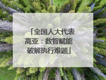 全国人大代表高亚：数智赋能破解执行难题