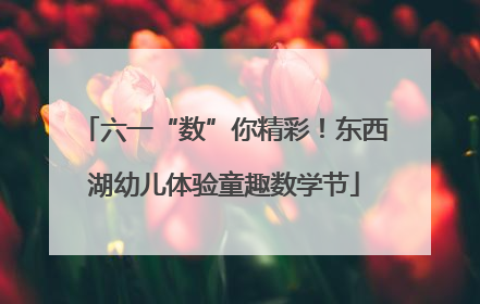 六一“数”你精彩！东西湖幼儿体验童趣数学节