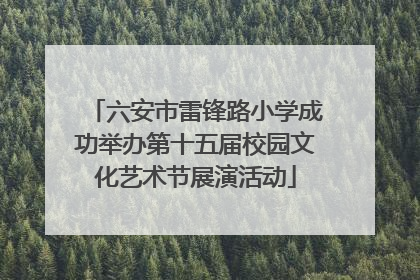 六安市雷锋路小学成功举办第十五届校园文化艺术节展演活动