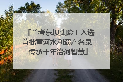 兰考东坝头险工入选首批黄河水利遗产名录 传承千年治河智慧