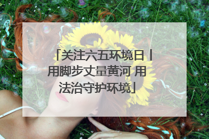 关注六五环境日丨用脚步丈量黄河 用法治守护环境